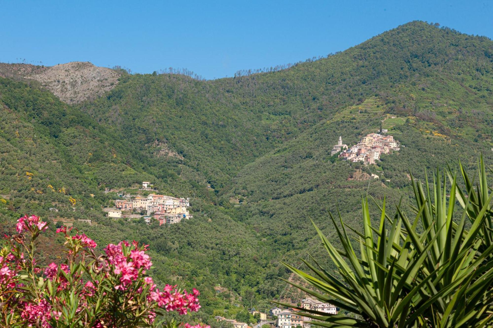 Villa Dell'Erta - Levanto Montale  المظهر الخارجي الصورة